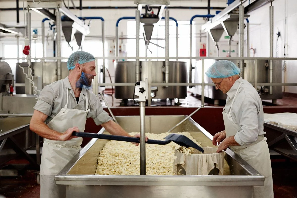 Quicke’s cheesemakers, Devon